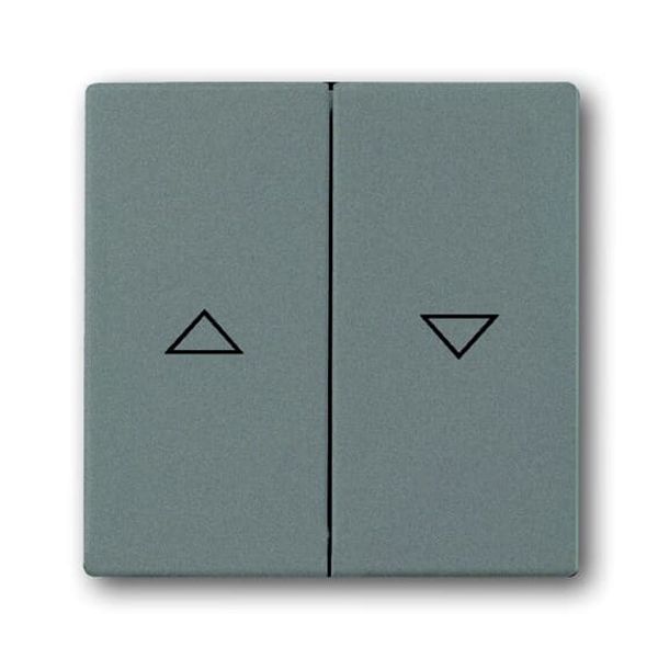 1771-803-103 CoverPlates (partly incl. Insert) Busch-axcent®, solo® grey metallic image 2