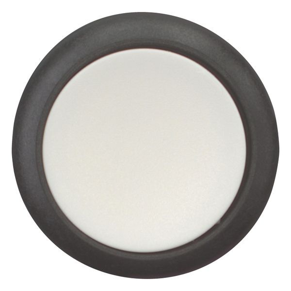 Pushbutton, Flat, maintained, 1 N/O, Screw connection, White, Blank, Bezel: black image 4