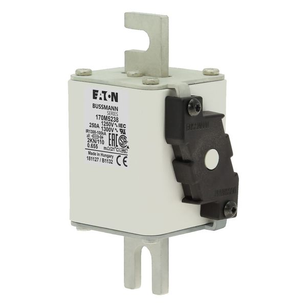 Fuse-link, high speed, 250 A, AC 1250 V, size 2, 61 x 77 x 138 mm, aR, DIN, IEC, single indicator image 14