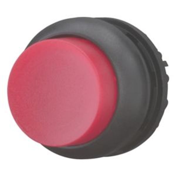 Illuminated pushbutton actuator, RMQ-Titan, Extended, momentary, red, Blank, Bezel: black image 2