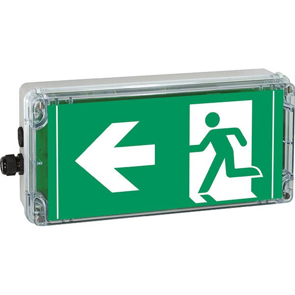 Ex-escape sign luminaires EXIT V-CG-S for emergency light function for zone 1/21, Pictogram: DIN ISO 7010, Arrow: 9 Clock image 5