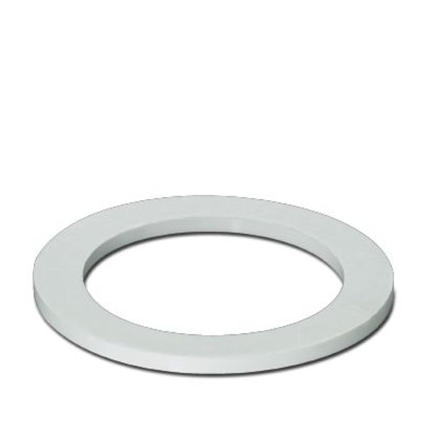 Flat gasket image 2