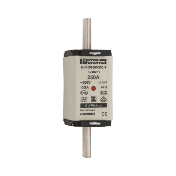 Fuse-link NH1 gG 500VAC 250A isolated tags Double indicator image 1