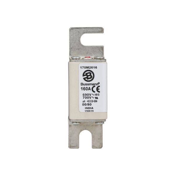 Fuse-link, high speed, 160 A, AC 690 V, DIN 00, 30 x 51 x 100 mm, aR, DIN, IEC, single indicator image 12