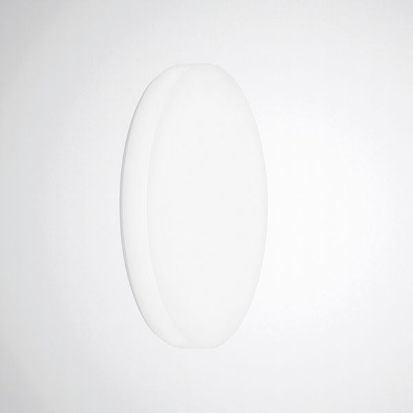 Wall and ceiling luminaire Olisq R Diffuser White around ET 32W 3800lm Lambertian (L) IP54 IK06 3 SDCM 8216940 image 1