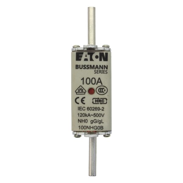 Fuse-link, LV, 100 A, AC 500 V, NH0, gL/gG, IEC, dual indicator, live gripping lugs image 10