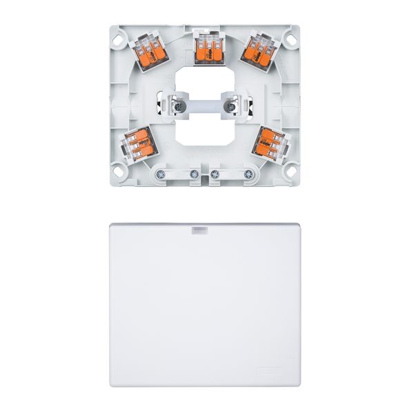 Merten stove & appliance connection d. UP 2 outputs, plug-in terminal. polar white,DIY image 1