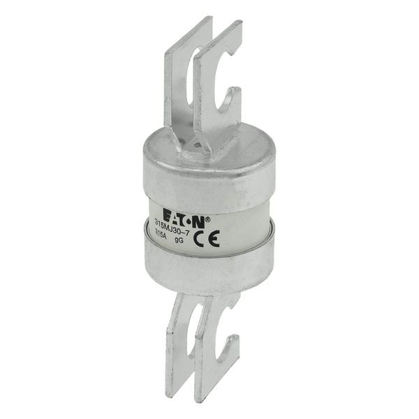 Utility fuse-link, LV, 315 A, AC 415 V, BS88/J, 38 x 110 mm, gL/gG, BS, 82mm fixing centres image 19