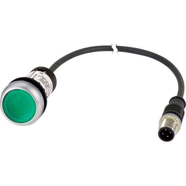 Illuminated pushbutton actuators, maintained, green, 24v, 1 N/O, with cable 1m and M12A plug image 4