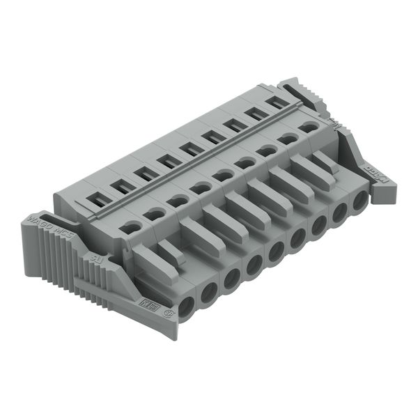 1-conductor female connector CAGE CLAMP® 2.5 mm² gray image 1