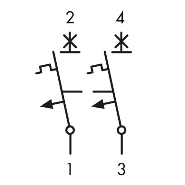 Miniature Circuit Breaker (MCB) B, 40A, 2-pole, 40ø C, 10kA image 3