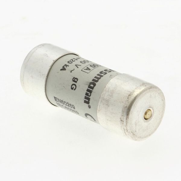 Fuse-link, LV, 100 A, AC 500 V, 22 x 58 mm, gL/gG, IEC, with striker image 4