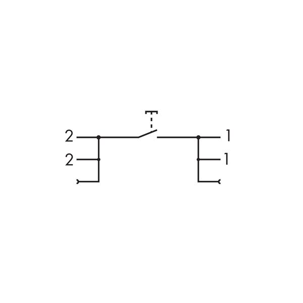 Switching module with off button Switching voltage: 250 VAC image 5