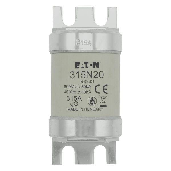 Fuse-link, low voltage, 315 A, AC 660 V, BS88, 49 x 110 mm, gL/gG, BS image 21