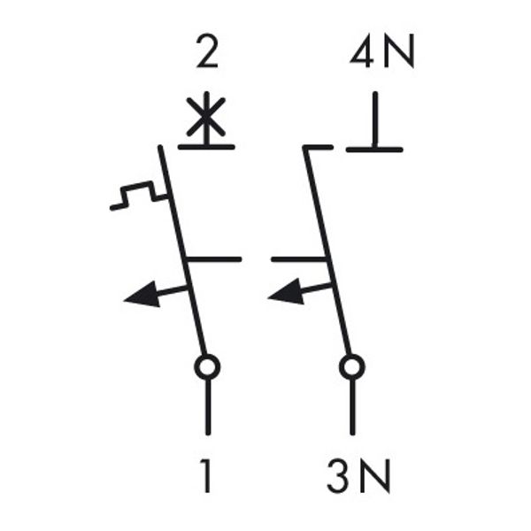 Miniature Circuit Breaker (MCB) C, 10A, 1+N, 6kA image 3