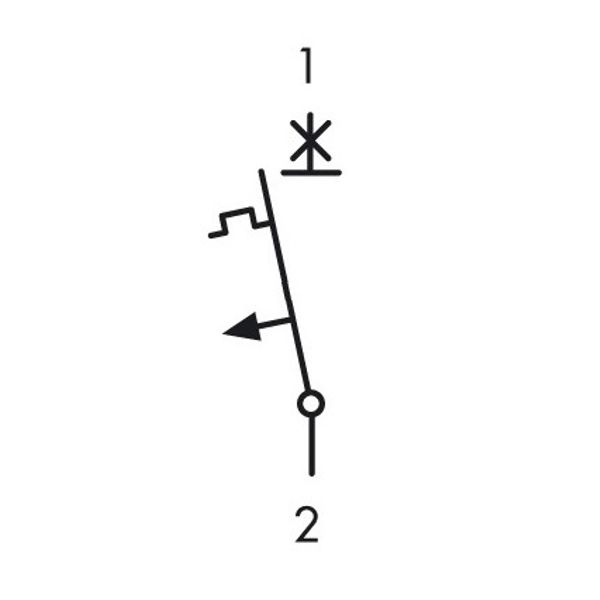 Miniature Circuit Breaker (MCB) AMPARO 10kA, B 13A, 1-pole image 7