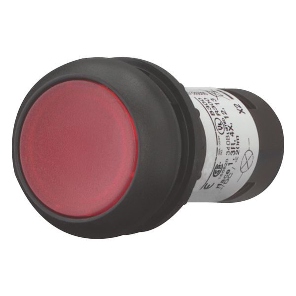 Illuminated pushbutton actuator, Flat, momentary, 1 NC, Screw connection, LED Red, red, Blank, 24 V AC/DC, Bezel: black image 2