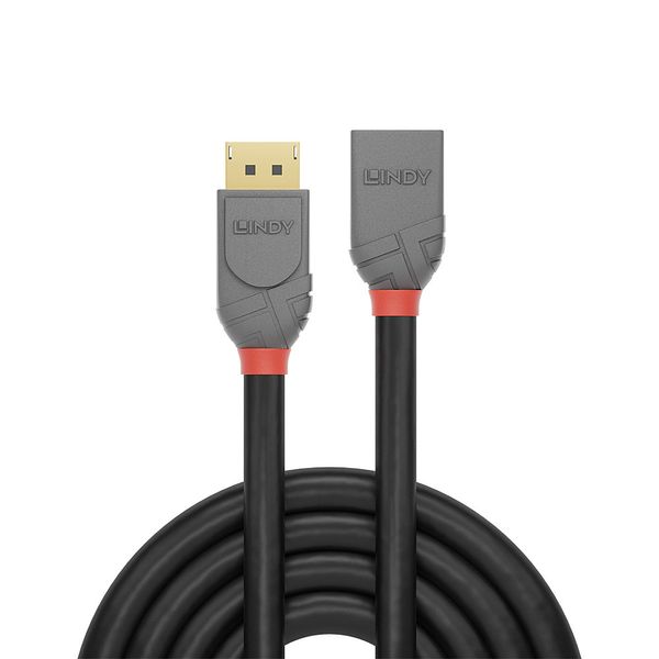 0.5m DisplayPort Extension Cable, Anthra Line DP Male to Female image 2