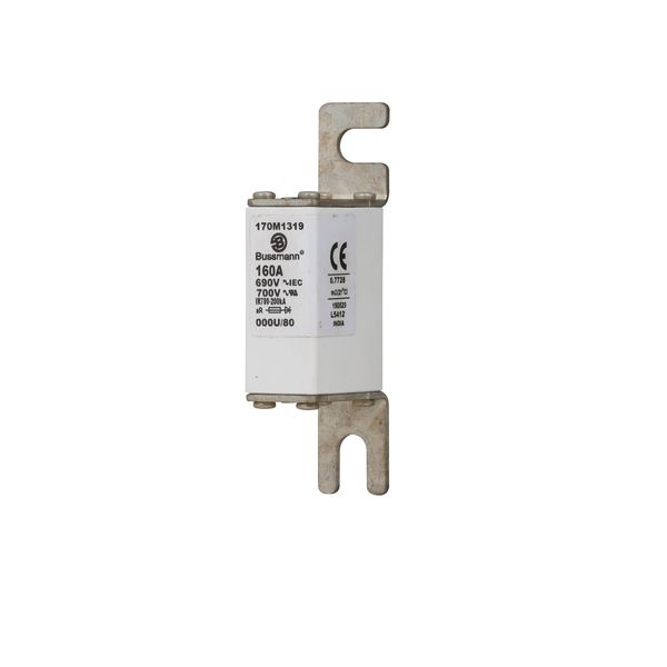 Fuse-link, high speed, 160 A, AC 690 V, DIN 000, 21 x 40 x 100 mm, aR, DIN, IEC image 5