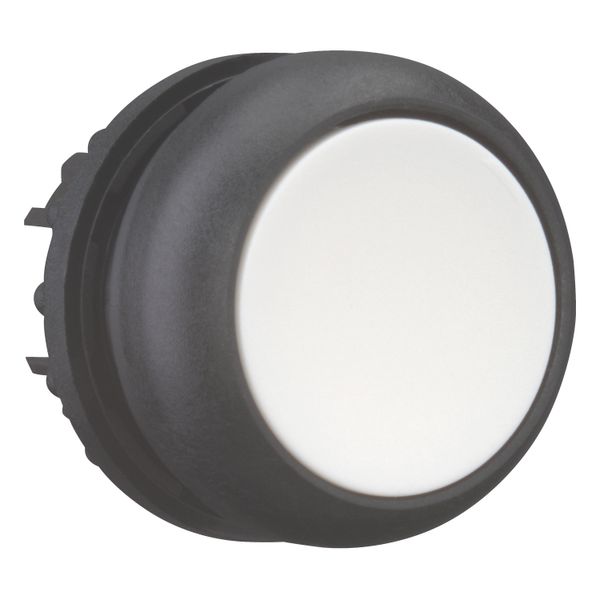 Pushbutton, RMQ-Titan, Flat, momentary, White, Blank, Bezel: black image 14