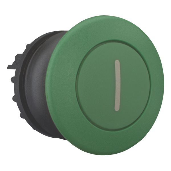 Mushroom actuator, RMQ-Titan, Mushroom, maintained, Mushroom green, green, inscribed, Bezel: black image 7