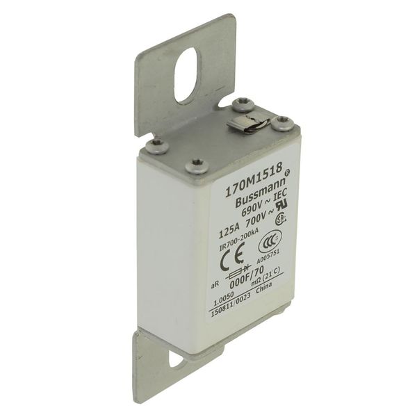 Fuse-link, high speed, 100 A, AC 690 V, size 000, 24 x 36 x 96 mm, aR, IEC, visual indicator image 13