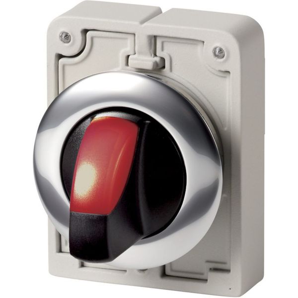 Illuminated selector switch actuator, RMQ-Titan, With thumb-grip, momentary, 2 positions, red, Metal bezel image 4