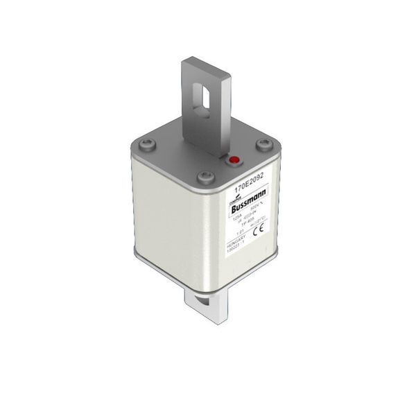 Fuse-link, high speed, 125 A, AC 500 V, 55 x 55 x 140 mm, aR, IEC, with indicator image 7