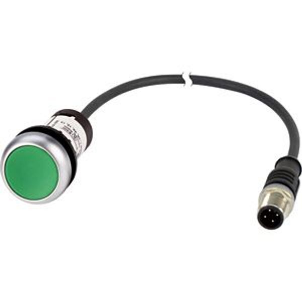 Pushbutton, Flat, momentary, 1 N/O, Cable (black) with M12A plug, 4 pole, 0.5 m, green, Blank, Bezel: titanium image 5