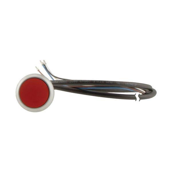 Pushbutton, Flat, momentary, 1 NC, Cable (black) with non-terminated end, 4 pole, 3.5 m, red, Blank, Bezel: titanium image 7