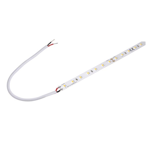 GRAZIA FLEXSTRIP LED 24V 10mm 5m 700lm/m 3000K image 1