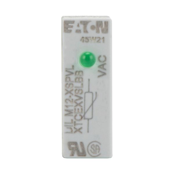 Varistor suppressor circuit, +LED, 24 - 48 AC V, For use with: DILM7 - DILM15, DILMP20, DILA image 5