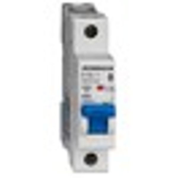 Miniature Circuit Breaker (MCB) AMPARO 10kA, D 32A, 1-pole image 8