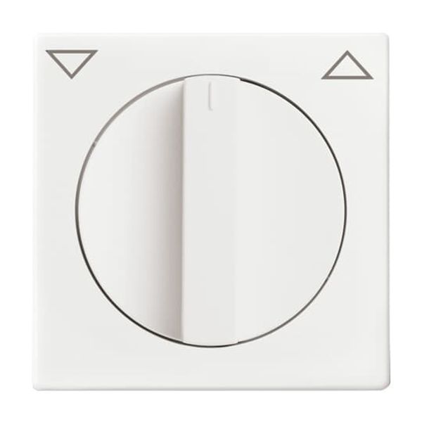 1745-84 CoverPlates (partly incl. Insert) future®, Busch-axcent®, solo®; carat® Studio white image 7