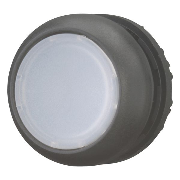 Illuminated pushbutton actuator, RMQ-Titan, Flush, momentary, White, Blank, Bezel: black image 3