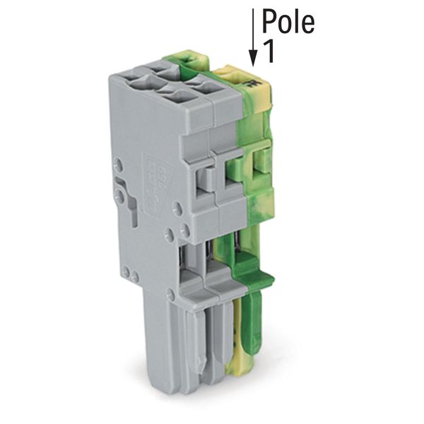 1-conductor female connector CAGE CLAMP® 4 mm² green-yellow/gray image 3