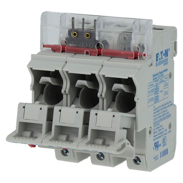 Fuse-holder, low voltage, 50 A, AC 690 V, 14 x 51 mm, 3P, IEC image 23