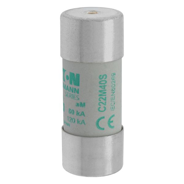 Fuse-link, LV, 40 A, AC 690 V, 22 x 58 mm, aM, IEC, with striker image 7