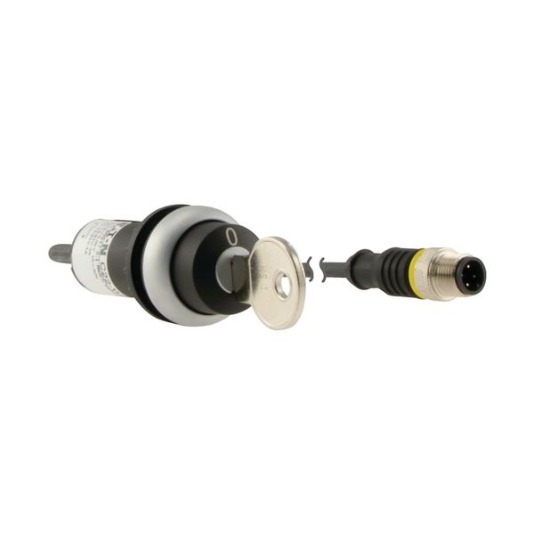 Key-operated actuator, RMQ compact solution, momentary, 1 N/O, Cable (black) with M12A plug, 4 pole, 0.2 m, 2 positions, MS1, Bezel: titanium image 13