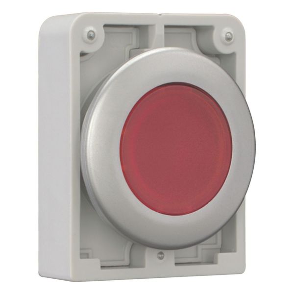 Illuminated pushbutton actuator, RMQ-Titan, Flat, maintained, red, Blank, Metal bezel image 13