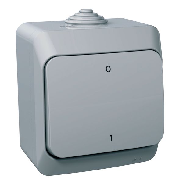 Cedar Plus - 2pole switch - 16AX, grey image 3