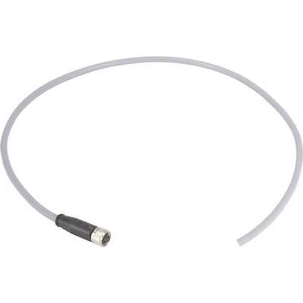 M8 Cable Assembly 3-poles st/- f/- 10,0m image 1