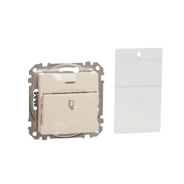 Sedna Design & Elements, Key card Switch 10AX, beige image 3