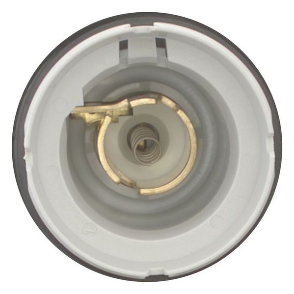 Indicator light, RMQ-Titan, Flush, without light elements, For filament bulbs, neon bulbs and LEDs up to 2.4 W, with BA 9s lamp socket, Without lens image 3