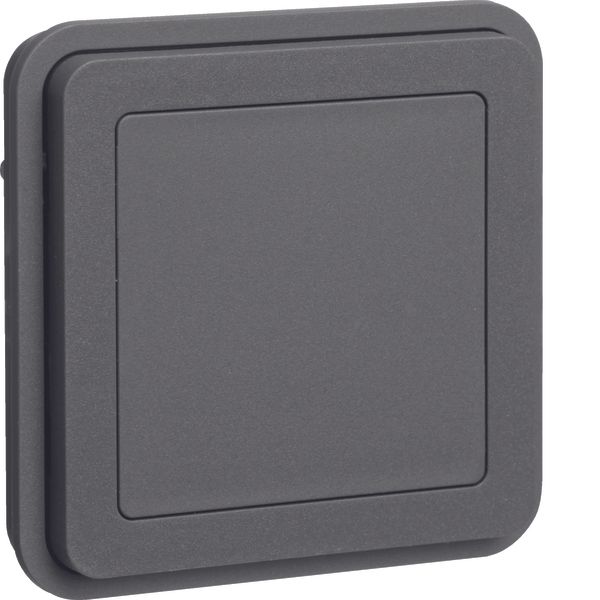 Blind plug insert surface-mtd/flush-mtd, W.1, grey matt image 1