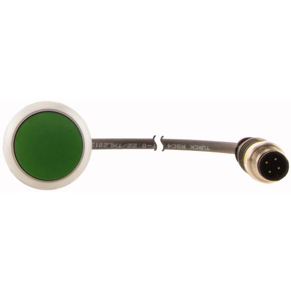 Pushbutton, Flat, momentary, 1 N/O, Cable (black) with M12A plug, 4 pole, 0.2 m, green, Blank, Bezel: titanium image 2