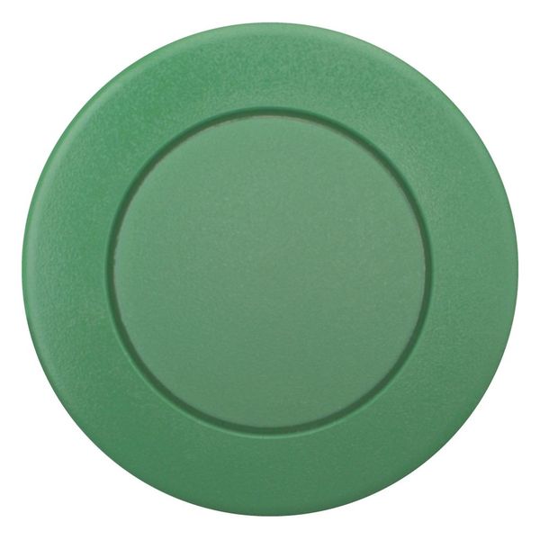 Mushroom actuator, RMQ-Titan, Mushroom, maintained, Mushroom green, green, Blank, Bezel: titanium image 3