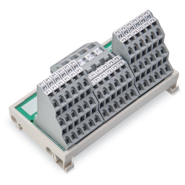 830-800/000-308 Potential distribution module; 2 potentials; with 2 input clamping points each image 2