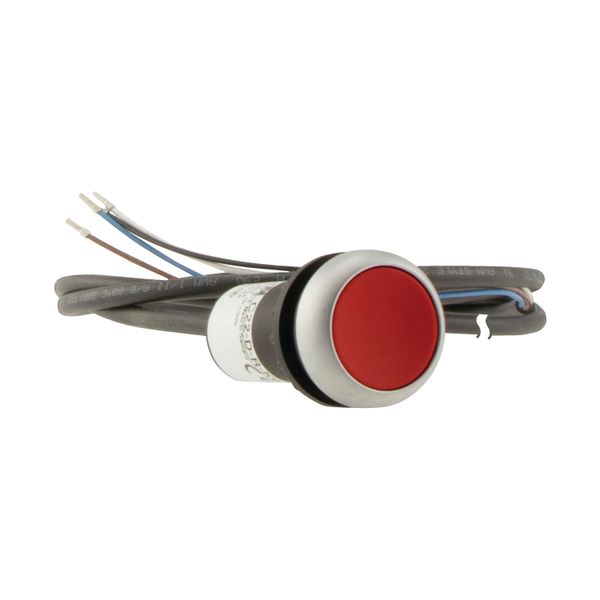 Pushbutton, classic, flat, maintained, 1 N/C, red, cable (black) with non-terminated end, 4 pole, 3.5 m image 11