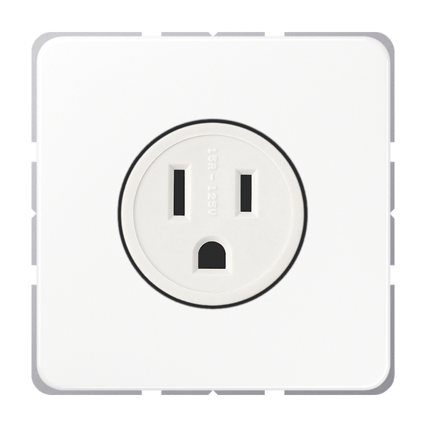 Us-Nema Socket 15A CD521-15WW image 1